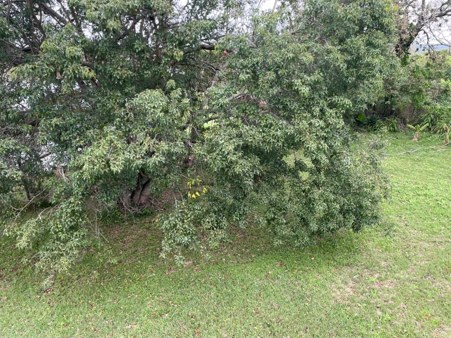 3 Bedroom Property for Sale in Bathurst Eastern Cape